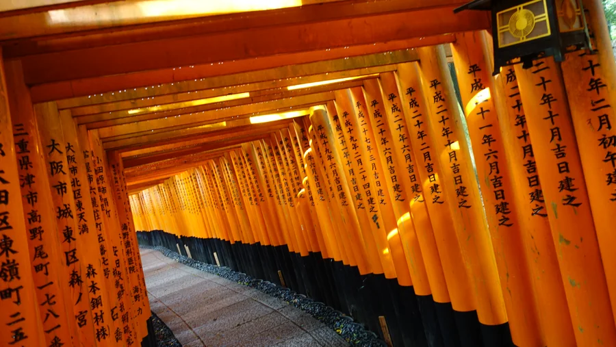 A sequence of orange torii gates receding along a path.